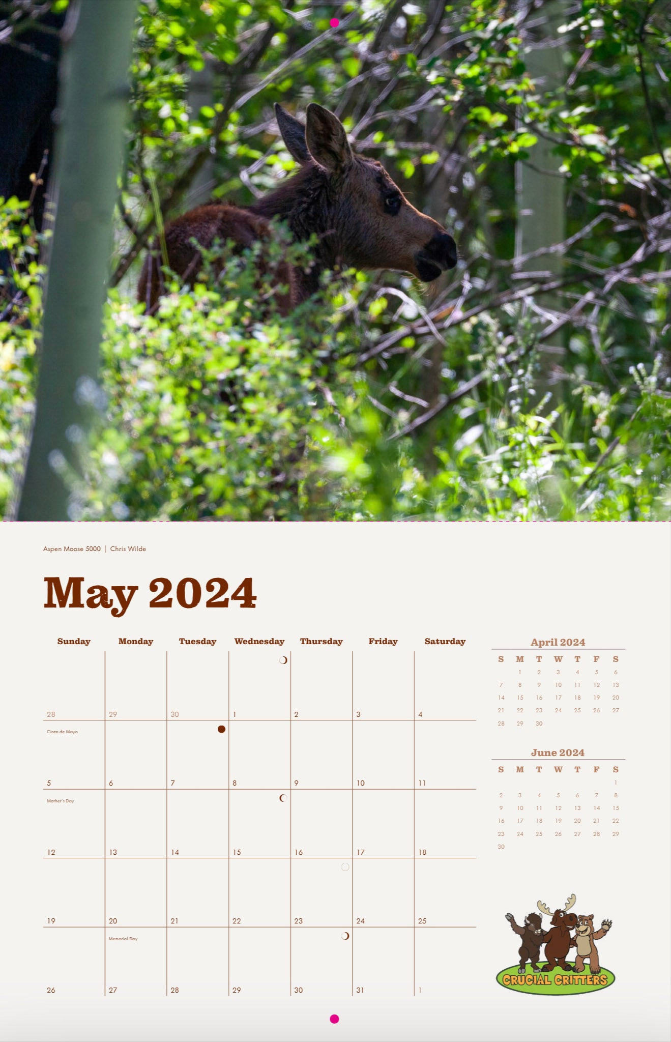 Local Moose of Jackson Hole 2024 13 Month Moose Calendar