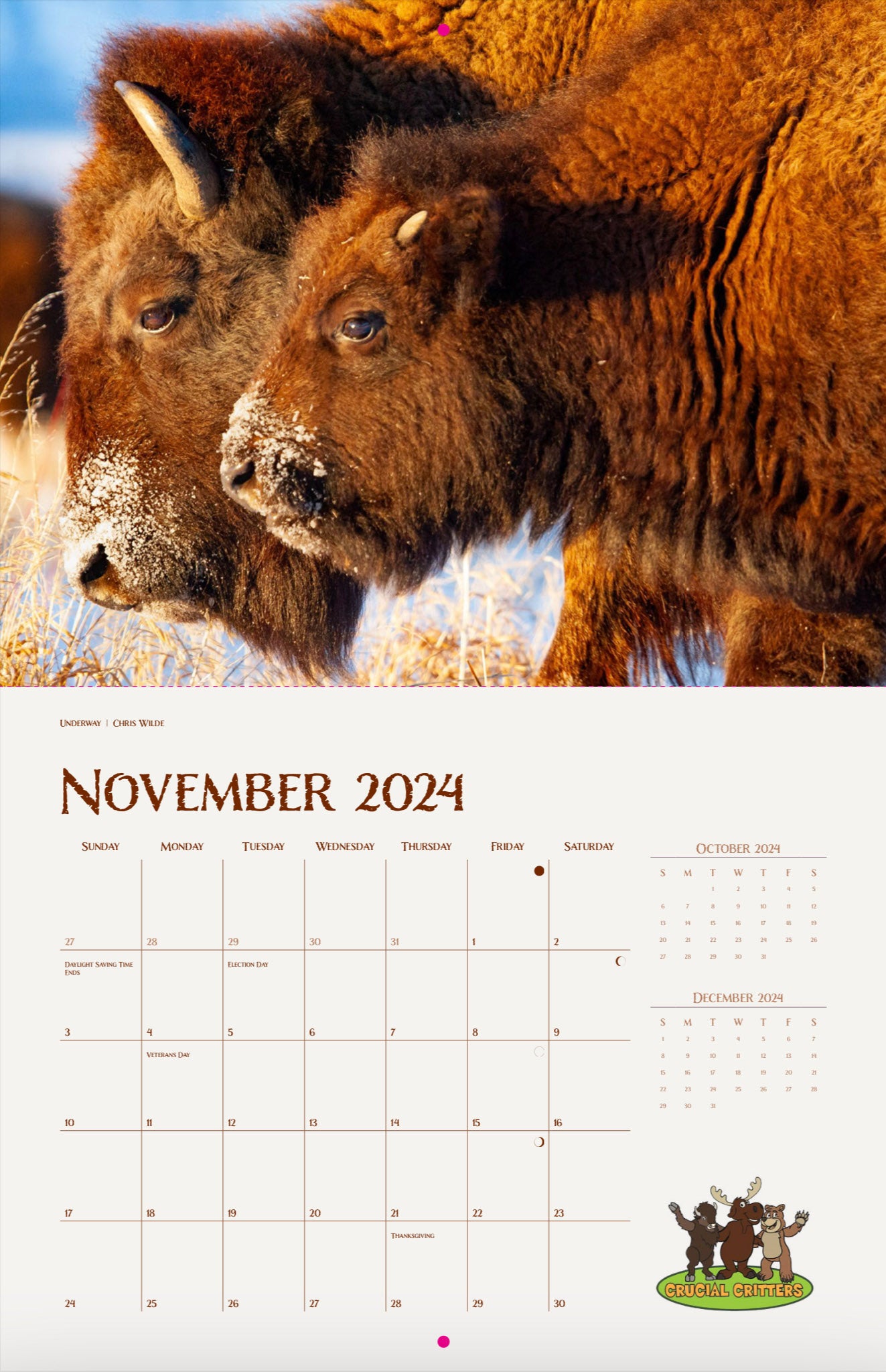 The Jackson Hole Bison Herd 2024 13 Month Bison Calendar